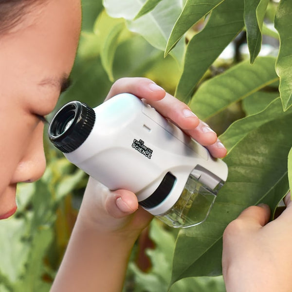 🔥🔥50% OFF - Pocket Microscope for Kids🎉Buy 2 Free Shipping